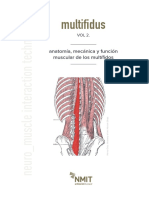 Multifidos