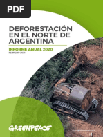 Deforestación en El Norte de Argentina - Informe Anual 2020