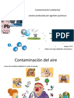 Contaminación Ambiental Lesión Por Agentes Químicos Plomo Ozono y CO Equipo 1 1