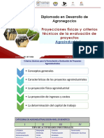 Eval Tecnica Proyectos Agroindustriales