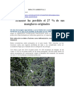 10.11.2019 Ecuador Ha Perdido El 27 de Sus Manglares Originales