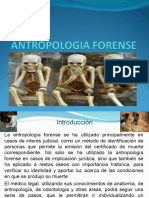 Diapositiva Antropologia