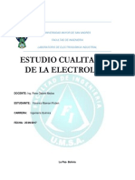 1 Estudio Cualitativo de La Eletrolisis