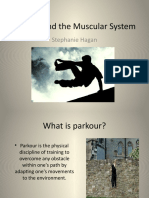 Parkour and The Muscular System: Stephanie Hagan