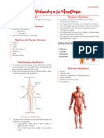 Unidade 1 - Introdução À Anatomia