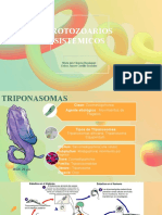 Equipo 4 Protozoarios Sistemicos