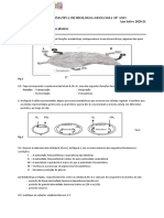 Ficha Formativa Final-Trocas Gasosas Nas Plantas-2020-21