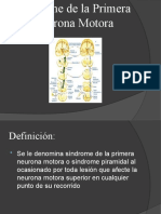 Síndrome de La Primera Neurona Motora