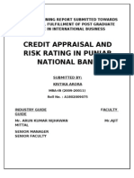 Report - Credit Appraisal PNB