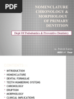 Nomenclature, Chronology and Morphology of Primary Dentition