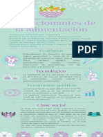 Infografía DV - Condicionantes de La Alimentación