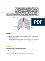 Sindromes Pleurales