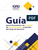 Guía Formulación Proyectos Inversión