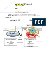 Prokaryotic Cell Eukaryotic Cell: Lab 3 (Virtual Lab and Worksheet)