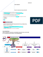 Ginecología CCM