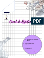 Mapa Conceptua de Canal de Distribucion