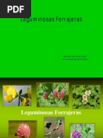 26.-Leguminosas Forrajeras