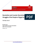 The Way I See It - Revolution and Counter Revolution - The Struggle of The People of Egypt To Win!