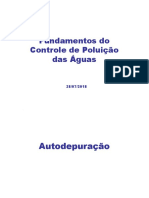 Aula 04 Controle de Poluição Das Águas Autodepuração