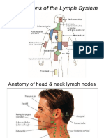 Conditions of The Lymph System