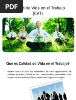 Calidad de Vida en El Trabajo (CVT)