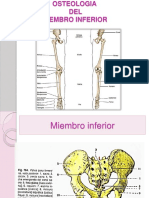 Osteologia de Miembro Inferior