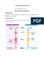 Gene Expression and Genetics: Mutation