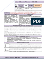 Febrero - 6to Grado Ciencias Naturales (2020-2021)