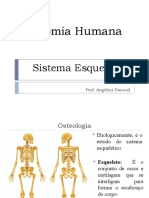 Anatomia Humana (Osteologia)