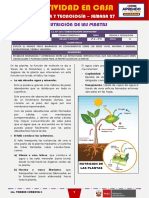 SEMANA 27 - LA NUTRICIÓN DE LAS PLANTAS (2do CIENCIA Y TECNOLOGÍA)