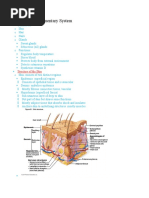 Anatomy Chapter 5