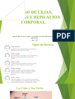 Curso de Cejas