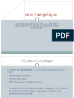 Dépense Énergétique