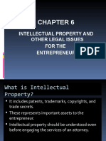 Intellectual Property and Other Legal Issues For The Entrepreneur