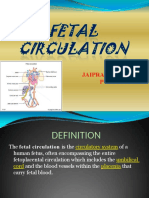 Fetal Circulation