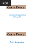 Central Dogma Central Dogma: The Genetic Information Flow of Life