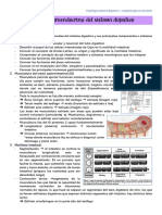 Fisiologia Sistema Digestivo