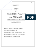 Common Plants Animals: Project Study OF