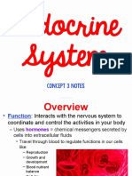 Concept 3 Notes - Endocrine System For Students