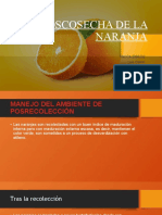 Poscosecha de La Naranja