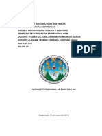 Trabajo 30 Planificacion de Auditoria Interna