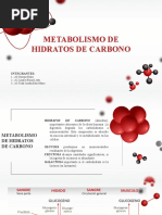 Metabolismo de Hidratos de Carbono