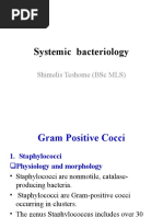 7.systemic Bacteriology