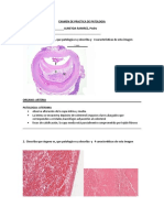 Examen de Practica de Patologia Especial Almeyda