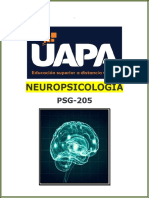 Tarea III de Neuropsicologia