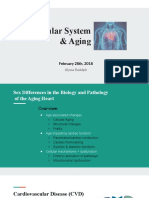 Cardiovascular System Aging