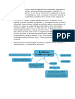 Entrega Final Semana 7