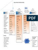 Suporte Nutricional À Destoxificação Hepática