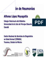 Clasificación de Neumonias