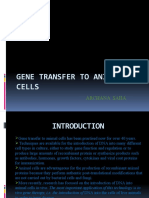 Gene Transfer To Animal Cells